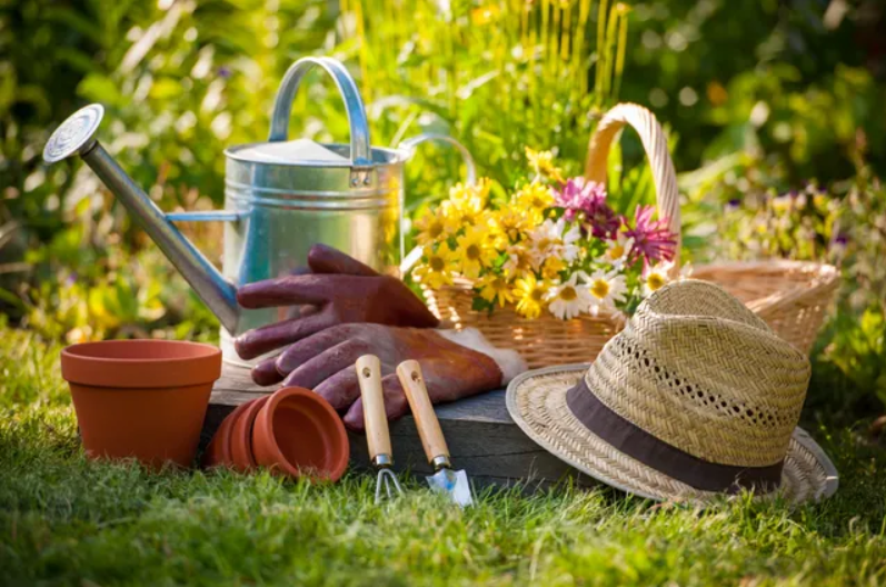 A person is holding their hands over the grass.