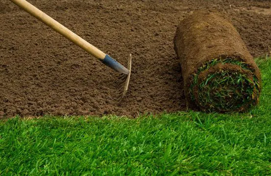 A person is digging in the ground with a hoe.