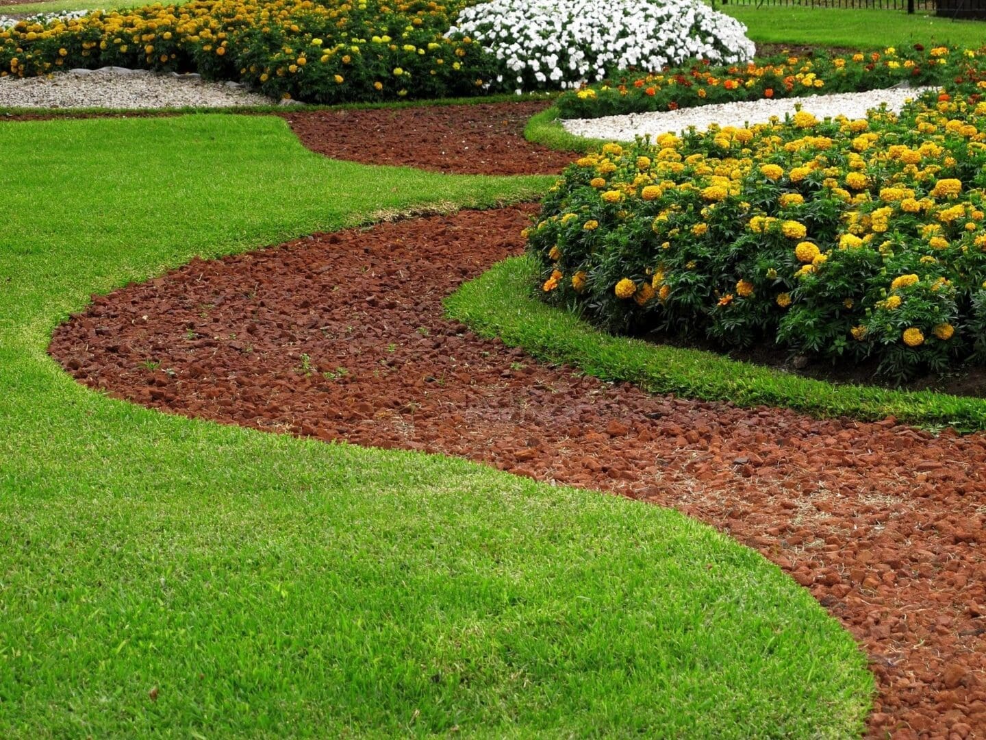 A garden with many different types of plants.