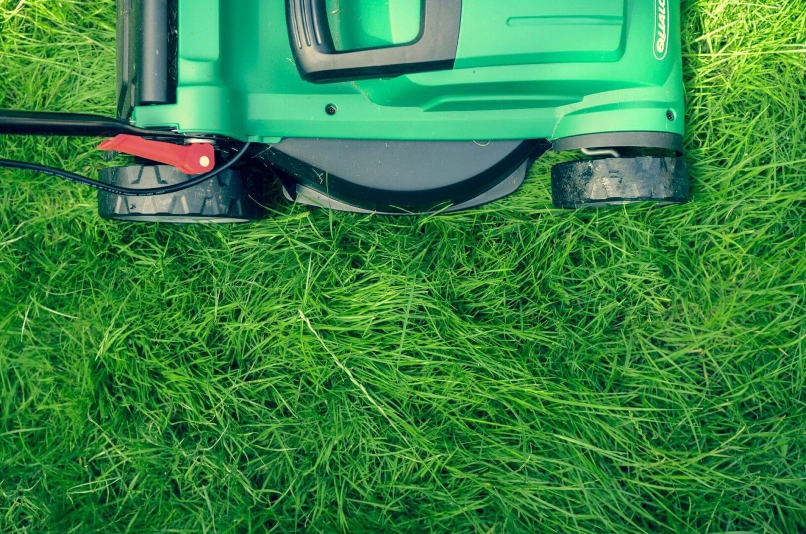 A green lawn mower on the grass