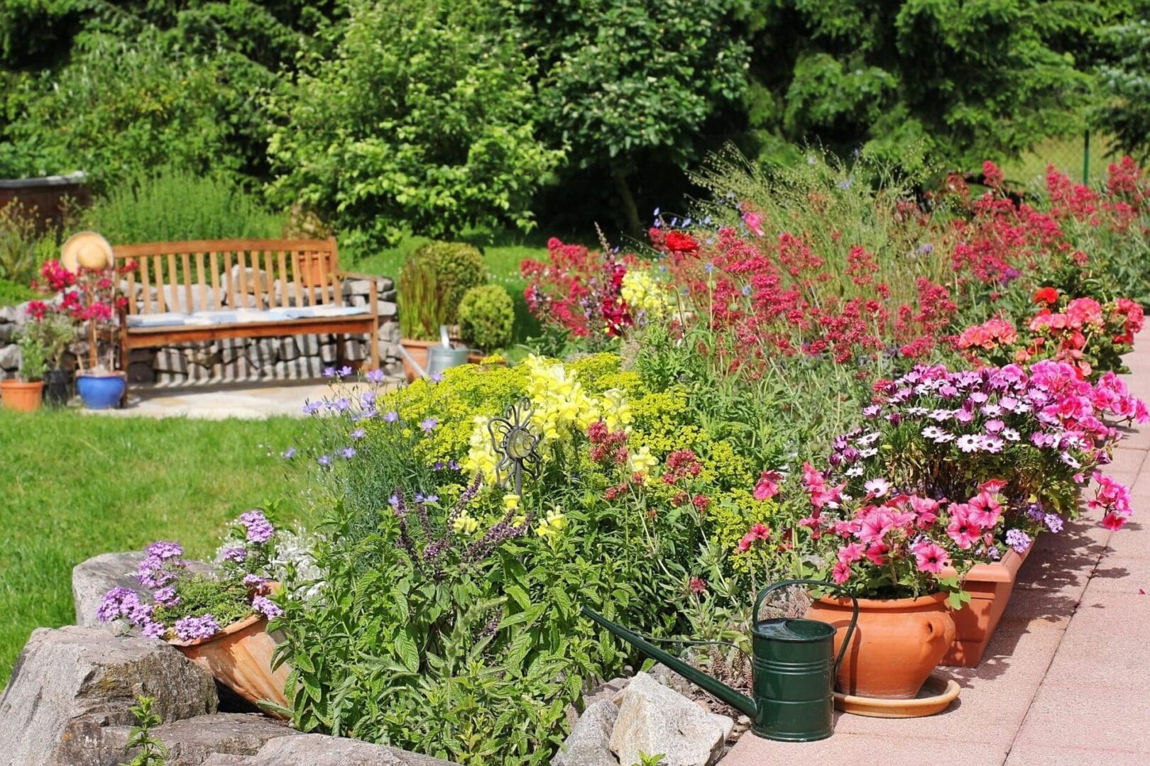 A garden with many different plants and flowers.