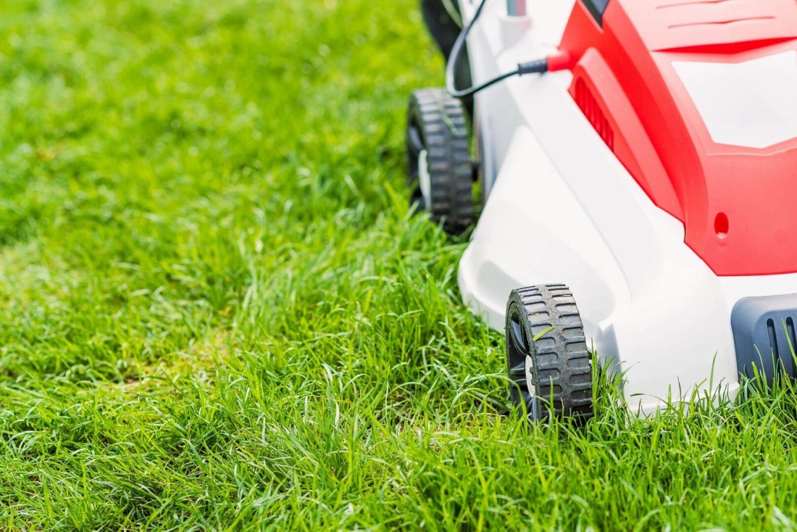 A lawn mower is shown in the grass.