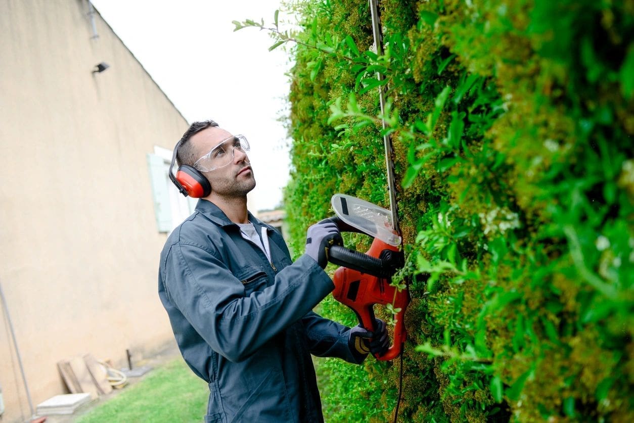 A man with ear muffs and goggles trims a tree.