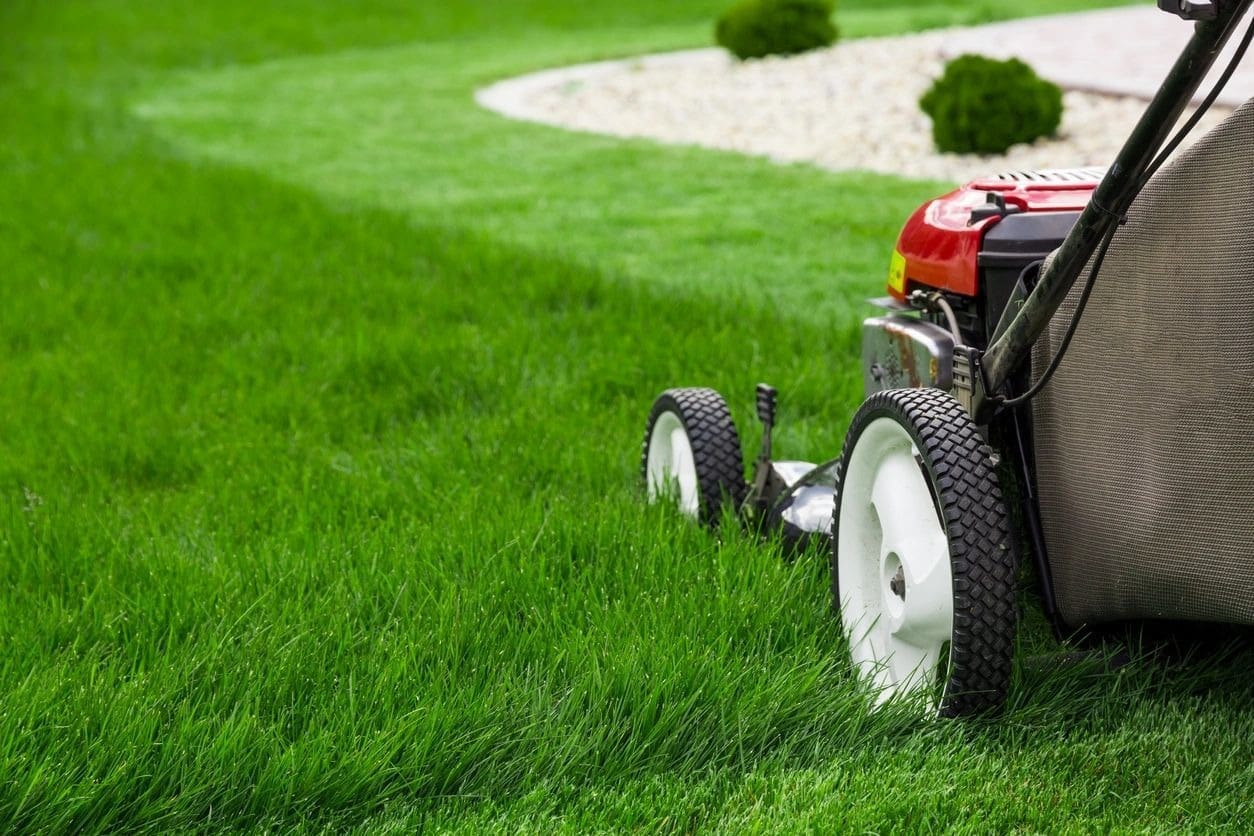 A lawn mower sitting in the grass next to some bushes.