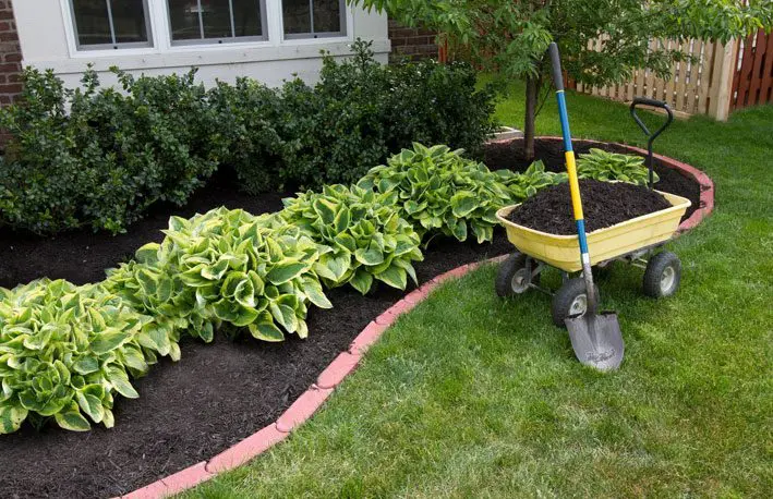 A garden with a wheelbarrow and shovel in the grass.