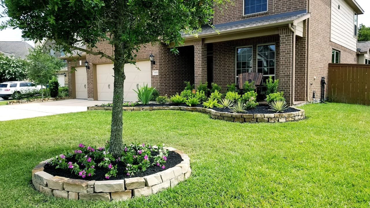 A tree in the middle of a yard with flowers.