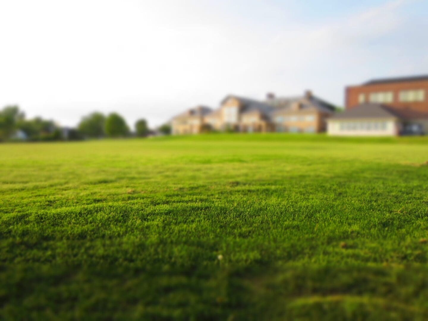 A large green field with houses in the background.