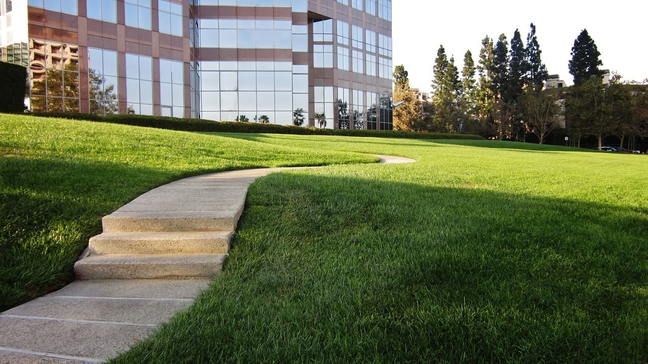 A walkway in the middle of a green field.