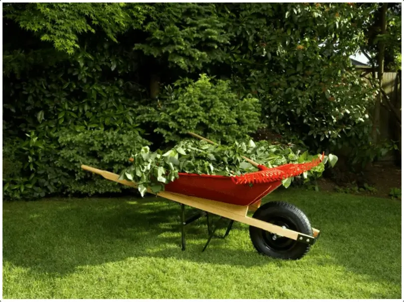 A red and black wheel barrow in the grass.